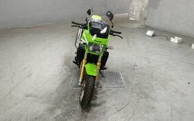 KAWASAKI ZRX1200 Daeg 2016 ZRT20D