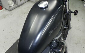 HARLEY XL883N 2010 LE2