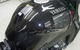 YAMAHA XSR900 2023 RN80