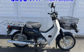 OTHER C110PU LOW 2