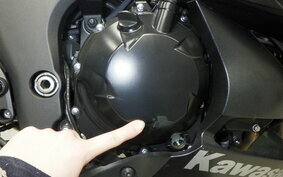 KAWASAKI NINJA 1000 A 2020 ZXT00W