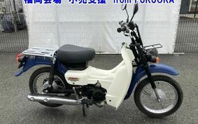 SUZUKI バーディ50FI BA43A