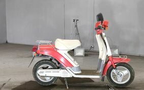 YAMAHA PASSOL 2T4