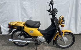 OTHER CC110