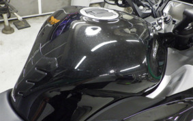 KAWASAKI NINJA 1000 SX 2024 ZXT02K