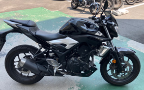YAMAHA MT-25 RG10J