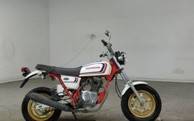 HONDA APE 100 HC07