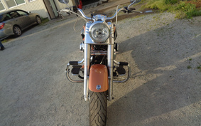 HARLEY FLSTF 105th 2007 BX5