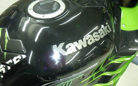 KAWASAKI ZZ-R1400 (Ninja ZX-14) 2007 ZXNA19