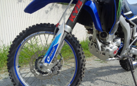 YAMAHA WR250R DG15J