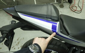 YAMAHA YZF-R25 RG10J