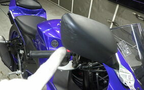 YAMAHA YZF-R25 A RG74J