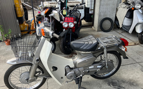 HONDA C90 SUPER CUB Custom HA02