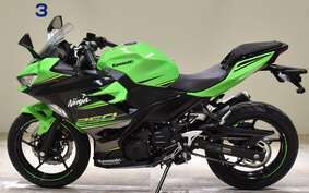 KAWASAKI NINJA 250 EX250P