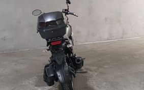 YAMAHA FZ-X RG73