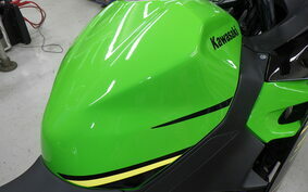 KAWASAKI NINJA 250 EX250P