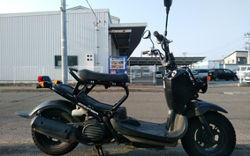 HONDA ZOOMER AF58