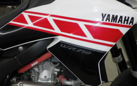 YAMAHA WR250X DG15J