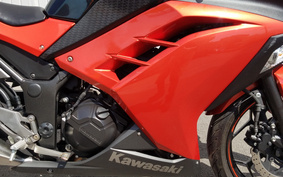 KAWASAKI NINJA 250 EX250L