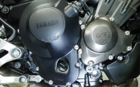 YAMAHA MT-09 2014 RN34J