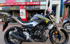 YAMAHA MT-25 RG10