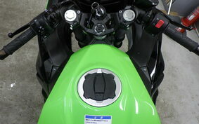 KAWASAKI NINJA 250 EX250P