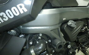 BMW K1300R 2013 0518