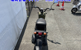 HONDA ZUMAR