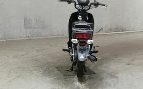 HONDA CROSS CUB 110 JA10