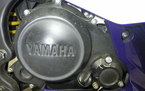 YAMAHA YZF-R15 RG06