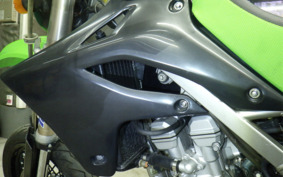 KAWASAKI KLX250D TRACKER LX250E