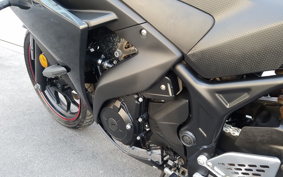 YAMAHA YZF-R25 RG10J