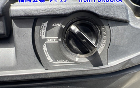 SUZUKI SKYWAVE 250M