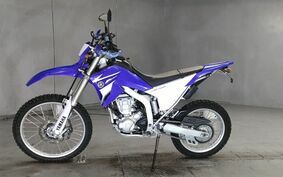 YAMAHA WR250R DG15J