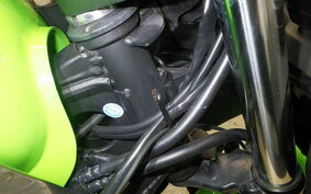 KAWASAKI NINJA 250 ABS EX250L