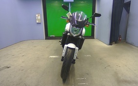 YAMAHA FZ FAZER 2009 RN21J