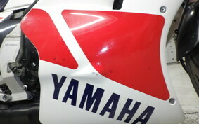 YAMAHA TZR250 1KT