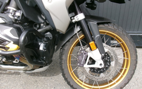 BMW R1250GS 40th 2021 0M01