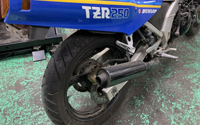 YAMAHA TZR250 1KT