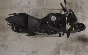 YAMAHA MT-25 RG43J