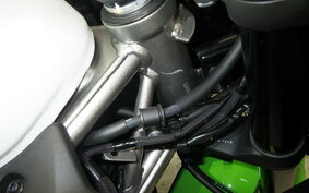 KAWASAKI ZX-4RR 2024 ZX400P