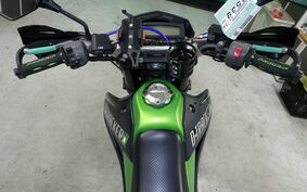 KAWASAKI KLX125D TRACKER X LX250V