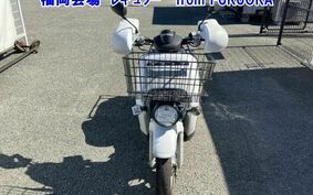 HONDA BENLY 110 JA09