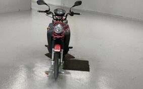 HONDA CROSS CUB 110 JA10