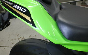 KAWASAKI ZX-25R ZX250E