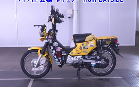 OTHER CC110