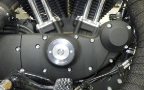 HARLEY XL883N 2020