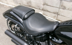 HARLEY  HARLEY FLFBS 30TH ANNIVERSARY  2020 YRK