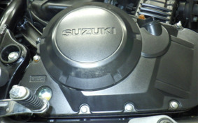 SUZUKI V-STROM 250