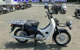 HONDA C110 SUPER CUB PRO JA10